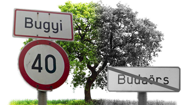 Bugyi községben ültettek fákat, mert Budaörsön nem találtak pótlásra alkalmas területet