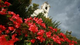 Június végéig nyújtható be a Tiszta, virágos Budaörsért pályázat