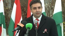 A Fidesz-KDNP március 15-ei ünnepi megemlékezése Budaörsön