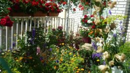 Júliusban lehet nevezni a Tiszta, virágos Budaörsért - 2019 pályázatra